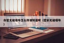 白璧无缝墙布怎么样谁知道呢（壁彩无缝墙布）