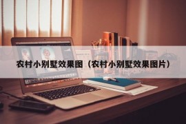 农村小别墅效果图（农村小别墅效果图片）