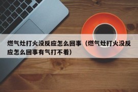 燃气灶打火没反应怎么回事（燃气灶打火没反应怎么回事有气打不着）