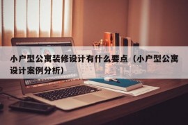 小户型公寓装修设计有什么要点（小户型公寓设计案例分析）