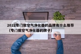 2022专门做空气净化器的品牌有什么推荐（专门做空气净化器的牌子）