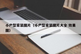 小户型家装图片（小户型家装图片大全 效果图）