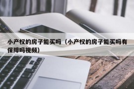 小产权的房子能买吗（小产权的房子能买吗有保障吗视频）