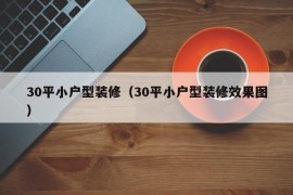 30平小户型装修（30平小户型装修效果图）