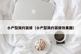 小户型简约装修（小户型简约装修效果图）