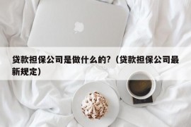 贷款担保公司是做什么的?（贷款担保公司最新规定）