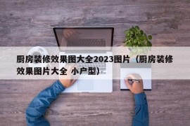 厨房装修效果图大全2023图片（厨房装修效果图片大全 小户型）