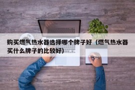 购买燃气热水器选择哪个牌子好（燃气热水器买什么牌子的比较好）