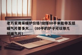 老万家用采暖炉价格!烧煤80平米能带五组暖气片要多大...（80平的炉子可以带几组暖气片）