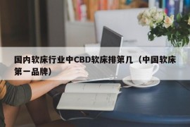 国内软床行业中CBD软床排第几（中国软床第一品牌）