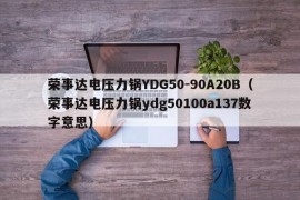 荣事达电压力锅YDG50-90A20B（荣事达电压力锅ydg50100a137数字意思）