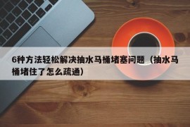 6种方法轻松解决抽水马桶堵塞问题（抽水马桶堵住了怎么疏通）