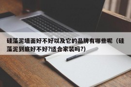 硅藻泥墙面好不好以及它的品牌有哪些呢（硅藻泥到底好不好?适合家装吗?）