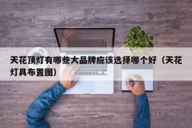 天花顶灯有哪些大品牌应该选择哪个好（天花灯具布置图）