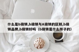 什么是b级锁,b级锁与A级锁的区别,b级锁品牌,b级锁好吗（b级锁是什么样子的）