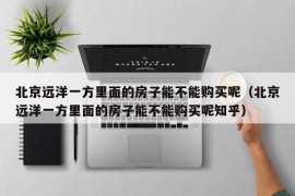 北京远洋一方里面的房子能不能购买呢（北京远洋一方里面的房子能不能购买呢知乎）