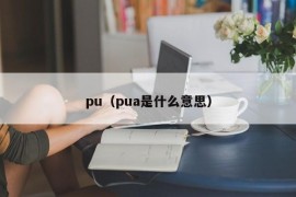 pu（pua是什么意思）