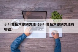 小叶黄杨木鉴别方法（小叶黄杨木鉴别方法有哪些）