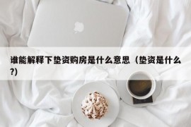 谁能解释下垫资购房是什么意思（垫资是什么?）