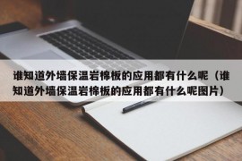 谁知道外墙保温岩棉板的应用都有什么呢（谁知道外墙保温岩棉板的应用都有什么呢图片）