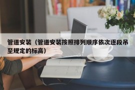 管道安装（管道安装按照排列顺序依次逐段吊至规定的标高）