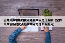 室内集成墙板的优点还有缺点是什么呢（室内集成墙板的优点还有缺点是什么呢图片）