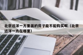 北京远洋一方里面的房子能不能购买呢（北京远洋一方在哪里）