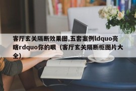 客厅玄关隔断效果图,五套案例ldquo亮瞎rdquo你的眼（客厅玄关隔断柜图片大全）