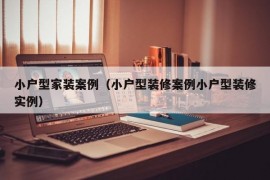 小户型家装案例（小户型装修案例小户型装修实例）