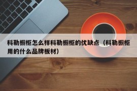 科勒橱柜怎么样科勒橱柜的优缺点（科勒橱柜用的什么品牌板材）