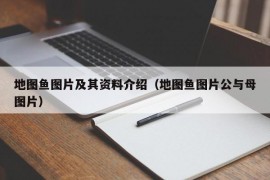 地图鱼图片及其资料介绍（地图鱼图片公与母图片）