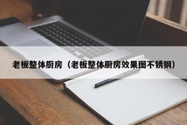 老板整体厨房（老板整体厨房效果图不锈钢）