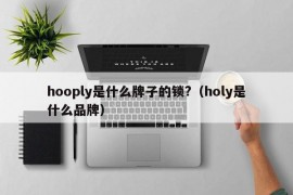 hooply是什么牌子的锁?（holy是什么品牌）