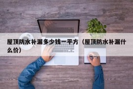 屋顶防水补漏多少钱一平方（屋顶防水补漏什么价）