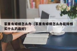 家里有蟑螂怎么办（家里有蟑螂怎么办能除根买什么药最好）