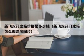 新飞双门冰箱价格是多少钱（新飞双开门冰箱怎么调温度图片）