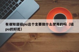 有谁知道硅pu这个主要做什么使用的吗（硅pu的好处）