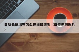 白璧无缝墙布怎么样谁知道呢（白璧无瑕图片）