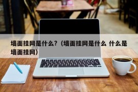 墙面挂网是什么?（墙面挂网是什么 什么是墙面挂网）