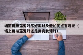 墙面用硅藻泥好不好呢以及他的优点有哪些（墙上用硅藻泥好还是用乳胶漆好）