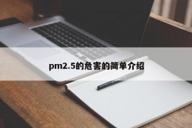 pm2.5的危害的简单介绍