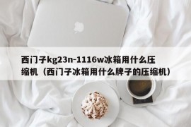 西门子kg23n-1116w冰箱用什么压缩机（西门子冰箱用什么牌子的压缩机）