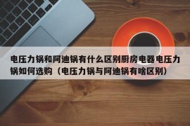 电压力锅和阿迪锅有什么区别厨房电器电压力锅如何选购（电压力锅与阿迪锅有啥区别）