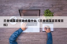 兰舍硅藻泥优缺点是什么（兰舍硅藻泥百度百科）