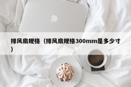 排风扇规格（排风扇规格300mm是多少寸）