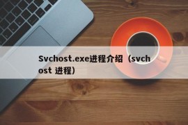 Svchost.exe进程介绍（svchost 进程）