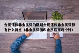 金属漆和非金属漆的区别金属漆和非金属漆都有什么特点（非金属漆面和金属漆面哪个好）