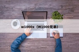 w1000x（W1000兄弟）