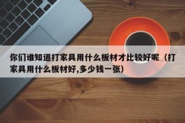 你们谁知道打家具用什么板材才比较好呢（打家具用什么板材好,多少钱一张）