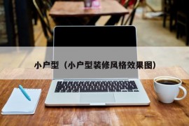 小户型（小户型装修风格效果图）